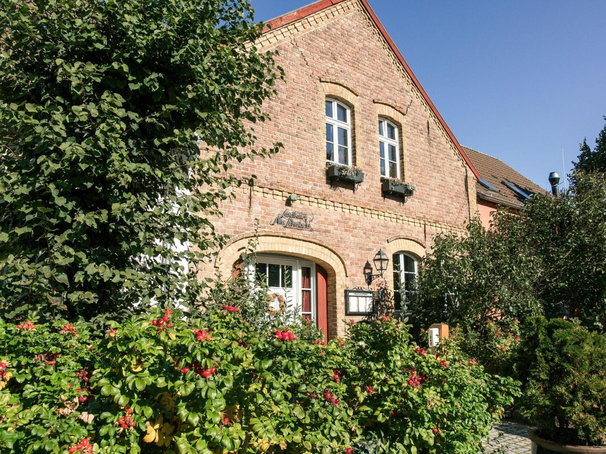 Landhaus Alte Schmiede Niemegk  Esterno foto