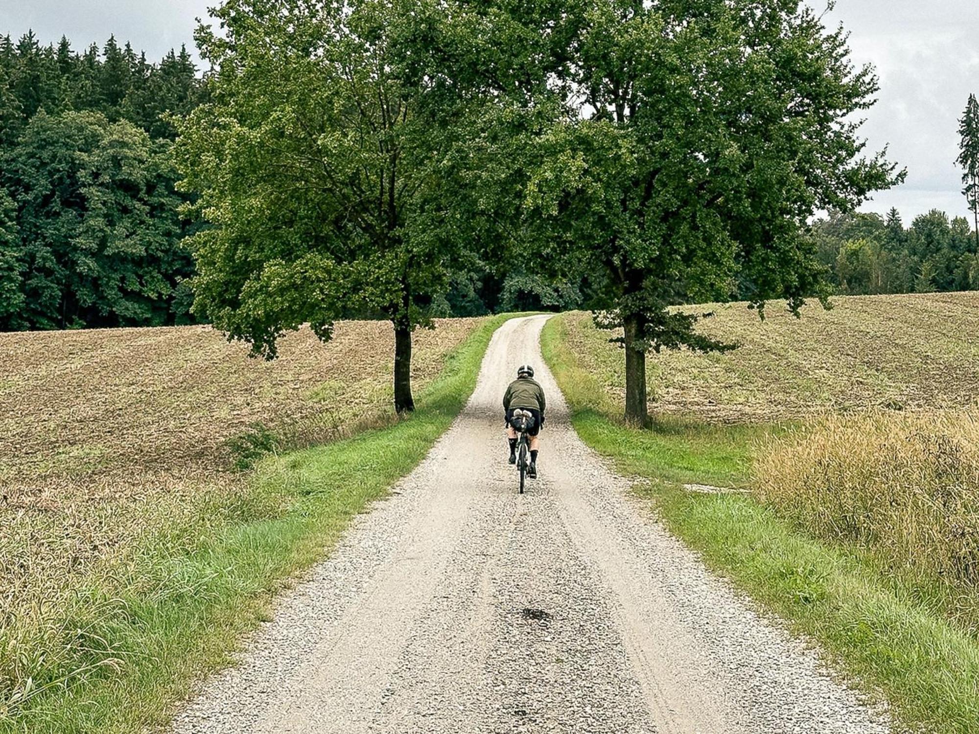 Landhaus Alte Schmiede Niemegk  Esterno foto